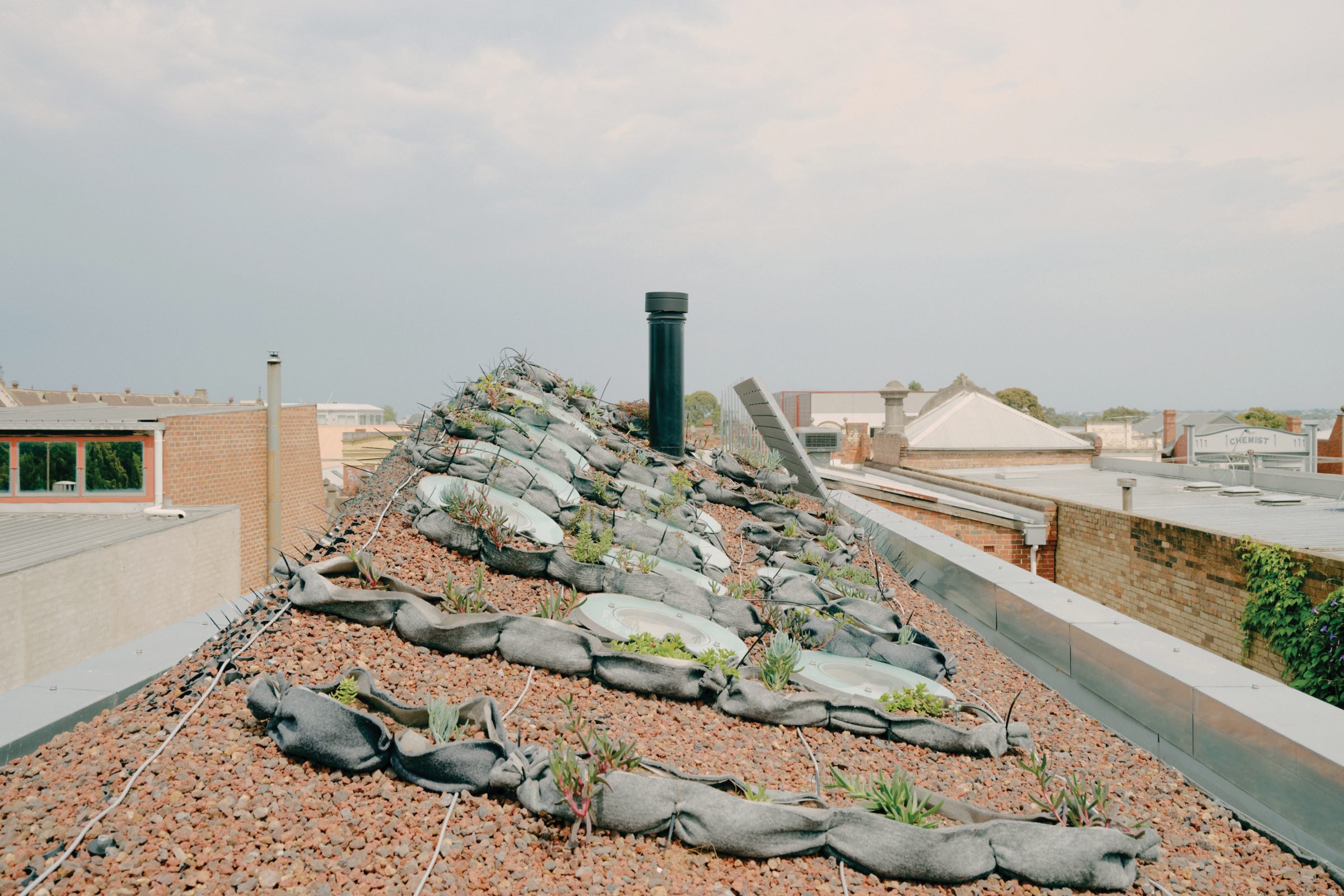 A sloped rooftop of a home by LLDS with gravel, fabric-wrapped planters, and small green plants, with city buildings and a cloudy sky in the background.