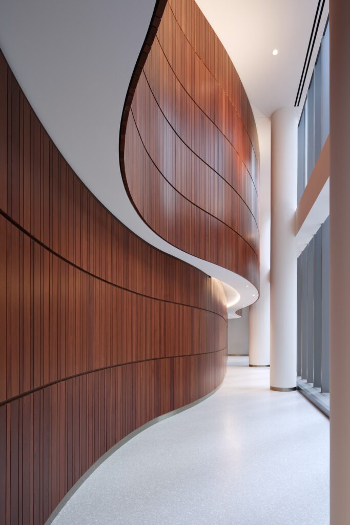 Curved hallway at the Lucas Museum of Narrative Art with floor-to-ceiling wood paneling on one side, white columns and windows on the other, and a smooth light-colored floor.