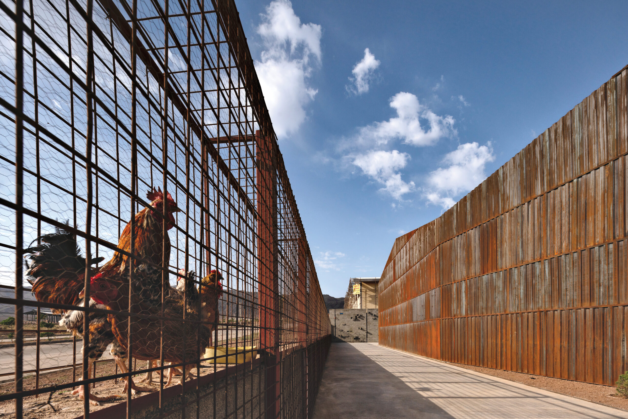 On the right, rust-colored wall panels from an industrial factory. On the left, separated by a lane, a red wire fence keeps out three chickens.