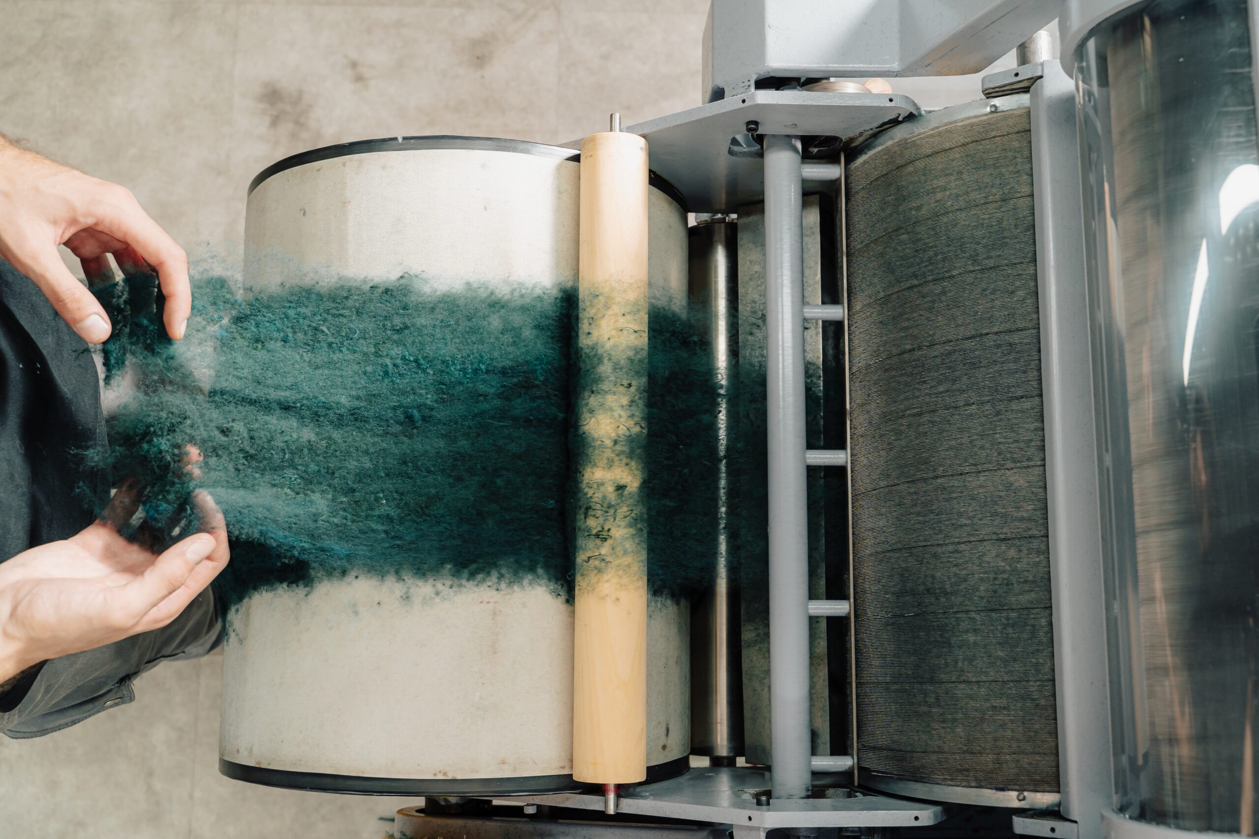 Person using a drum carder machine to process green wool fibers, preparing them for spinning; the machine aligns and blends the fibers for textile work.