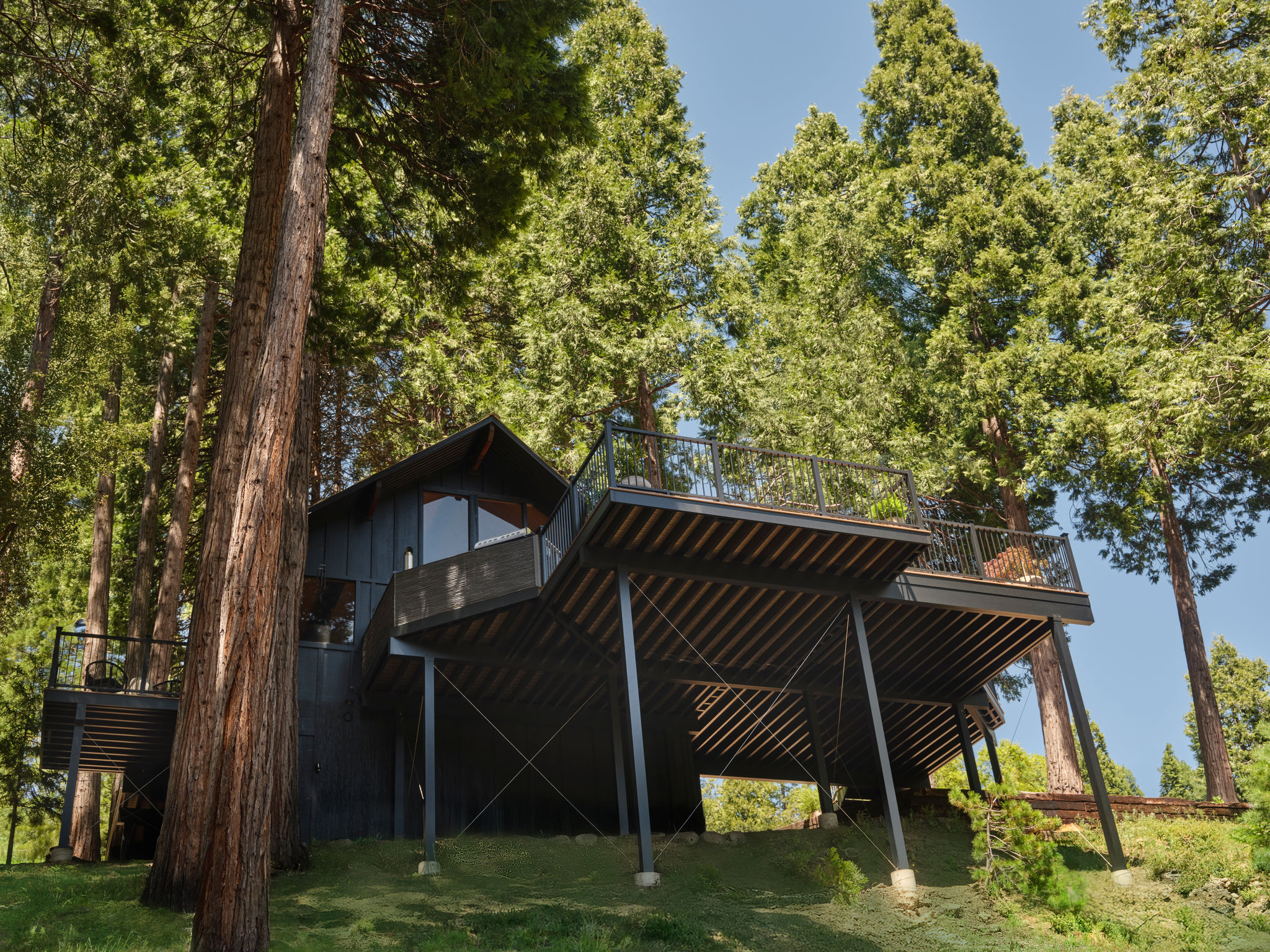 A modern black house on stilts is surrounded by tall trees on a grassy slope, with a large deck and clear blue sky above.