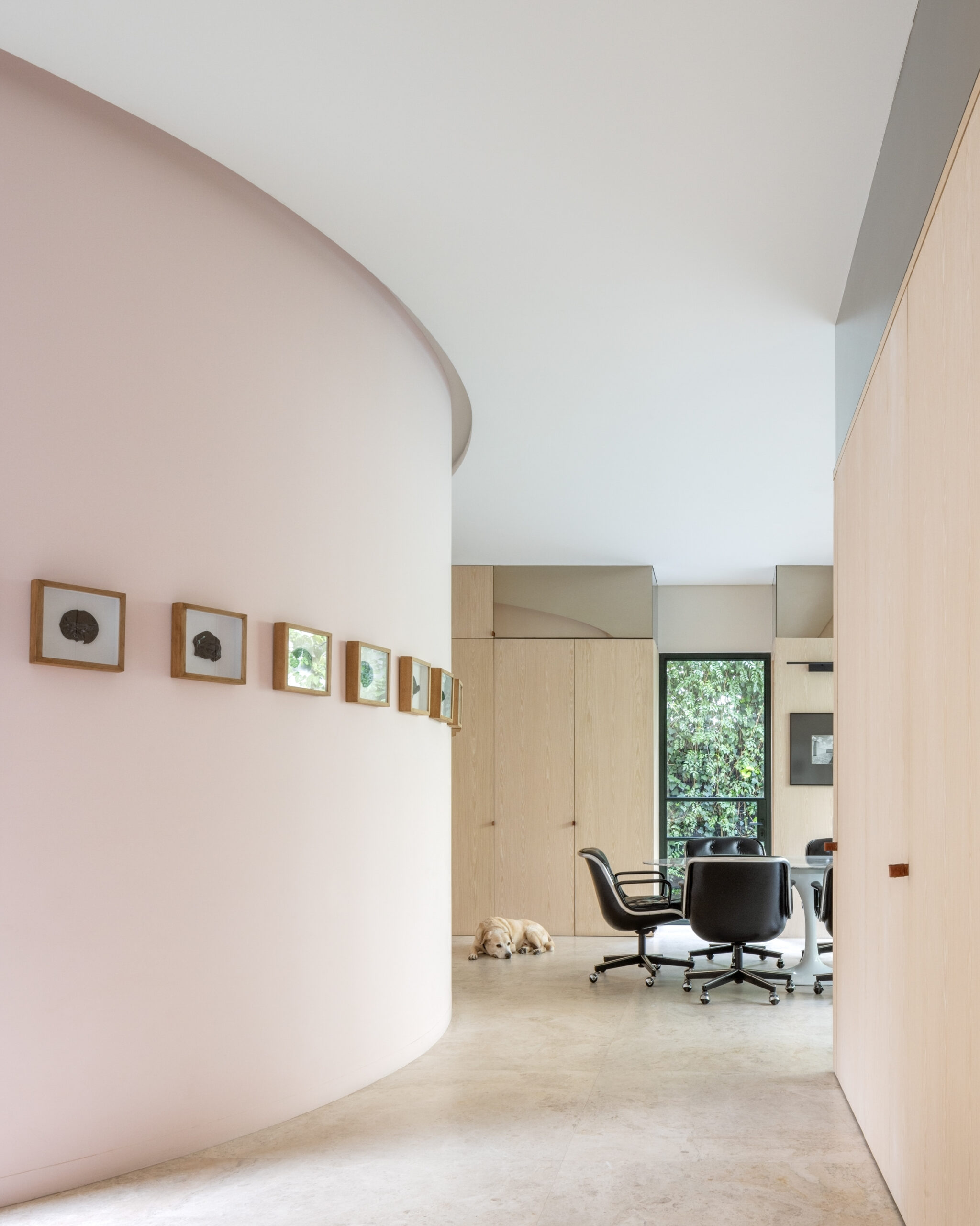 A curved pale pink wall decorated with a row of small framed pictures leads to a modern office area with a table, chairs, and a dog lying on the floor.