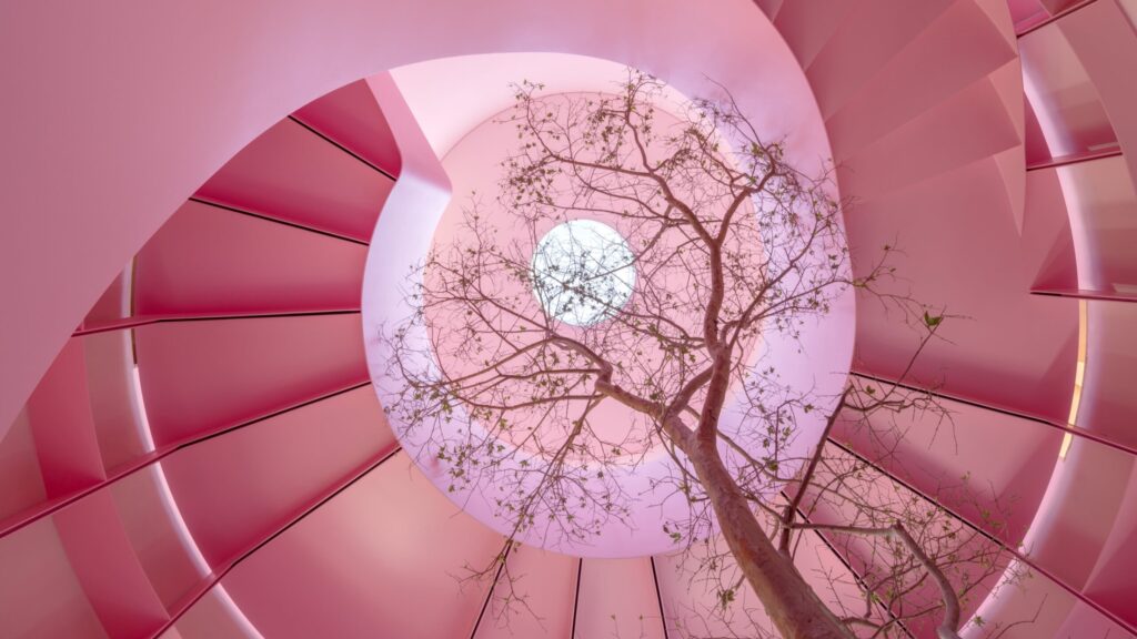 A bare tree grows up through the center of a pink spiral staircase in Mexico City toward a circular skylight.