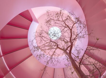 A bare tree grows up through the center of a pink spiral staircase in Mexico City toward a circular skylight.