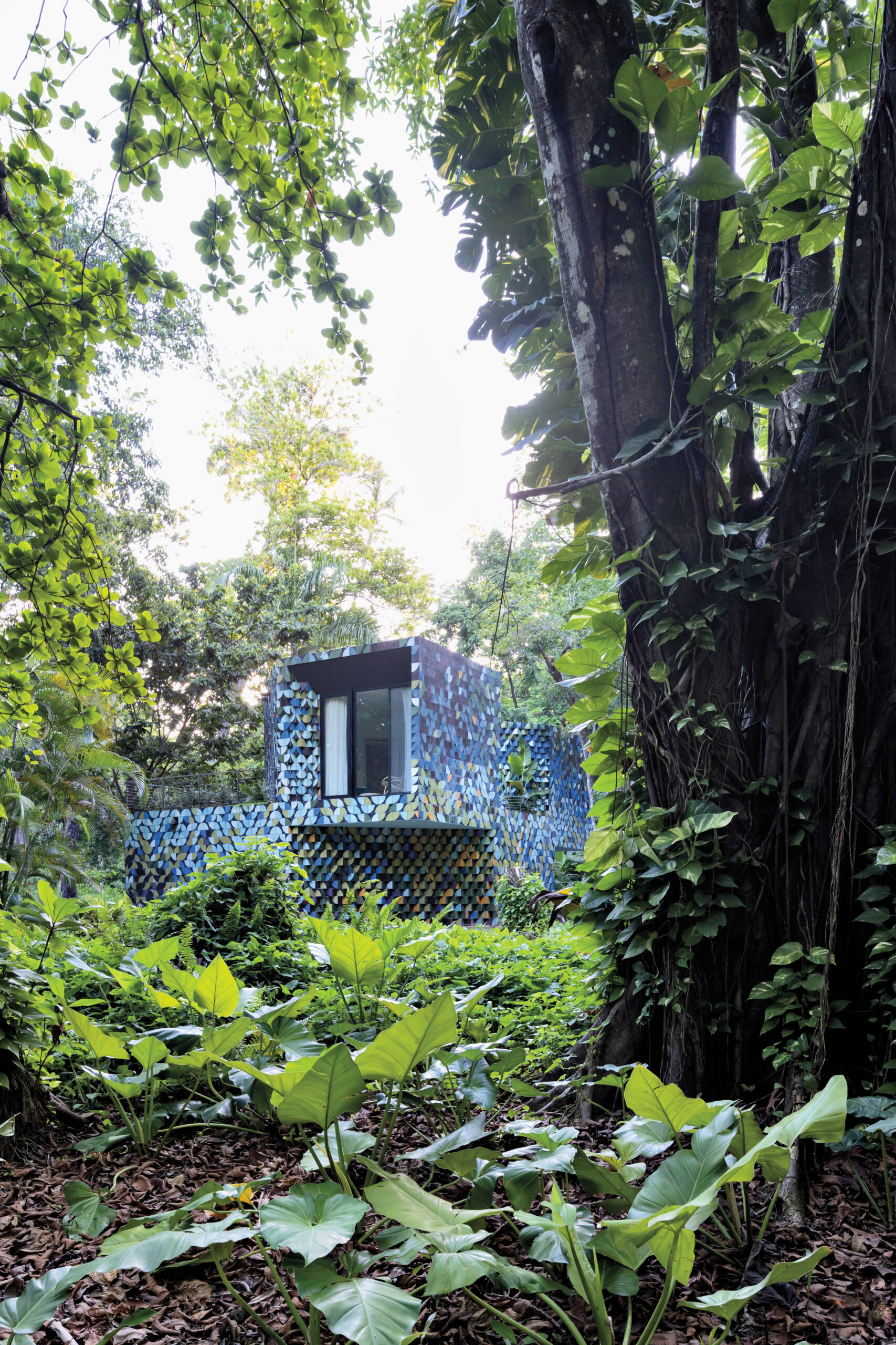 Glitch House by Young Projects, with  angular multi-color geometric wall tiles that give the look of rippling feathers on a tropical bird, in a jungle landscape